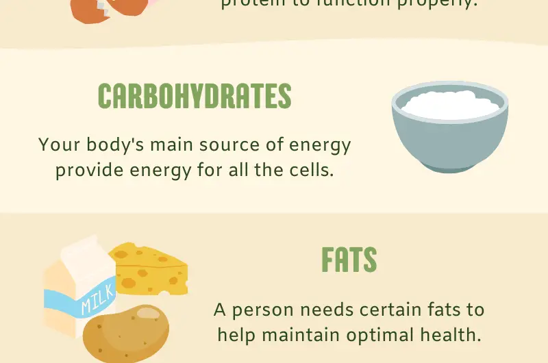 OFC Healthy Food Nutrients Infographic