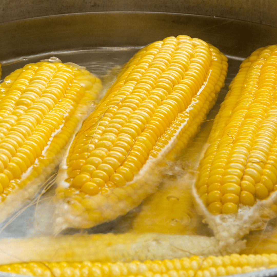 boiled corn on the cob